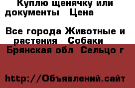 Куплю щенячку или документы › Цена ­ 3 000 - Все города Животные и растения » Собаки   . Брянская обл.,Сельцо г.